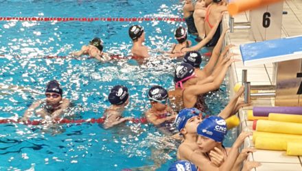 Ecole de Natation Française – ENF Ecole de Natation Française – ENF